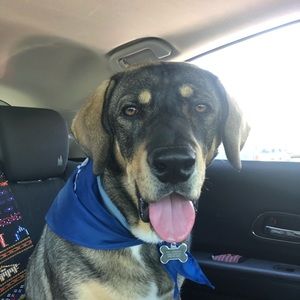 Meet your Posher, Andrea